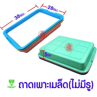 ถาดใส่ฟองน้ำ 3 ใบ เพาะเมล็ด ถาดเพาะเมล็ดไม่มีรู ถาดเพาะกล้า ปลูกผักไฮโดรโปนิกส์ ถาดเพราะ ฟองน้ำ sale clearance