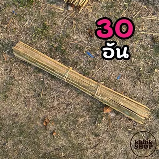 ไม้หลักยึดต้นไม้ ปลายแหลม ยาว 60 ซม. จำนวน 12 30 และ 50 อัน ช่วยพยุงลำต้น เหลาลบคมแล้ว ไม่บาดมือ