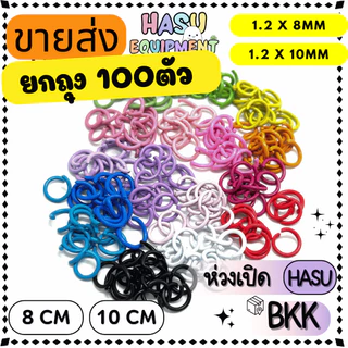 HasuEquipment 100 ชิ้น ห่วงสี 8-10mm รุ่นหนา ห่วงกลม ห่วงคล้องจี้ ห่วงเชื่อม Hasu Equipment [RING]