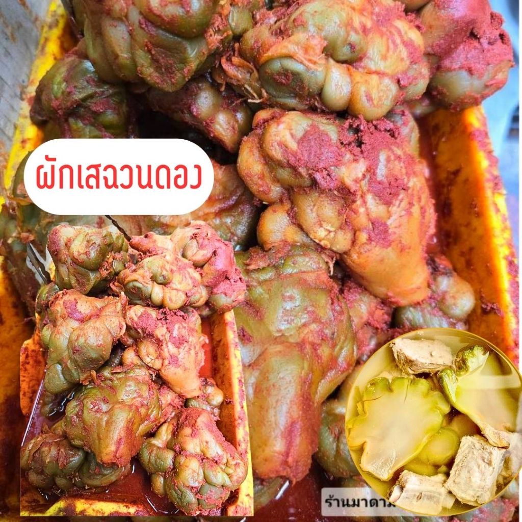 ผักแดง #ซีชวงไฉ่ #ผักเสฉวนดอง น้ำหนัก500กรัม เผ็ดน้อยรสชาติเค็มนำนิยมนำไปต้มกระดูกหมู และเมนูอีกมากมาย**มีส่งด่วน**