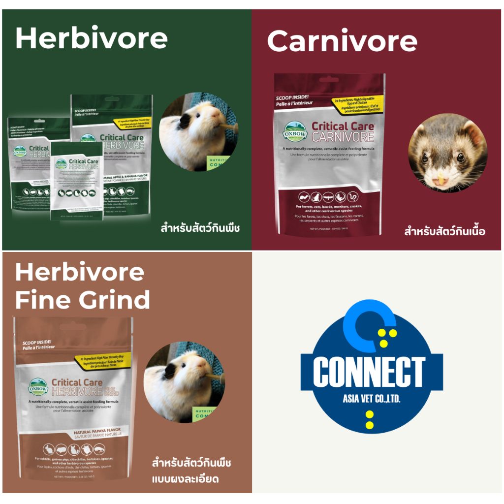 Oxbow Critical Care /Carnivore Care คริติคอลเเคร์ อาหารทดเเทน/ฟื้นฟูสัตว์ป่วย สำหรับสัตว์กินพืช สัตว์กินเนื้อ 141g./70g.