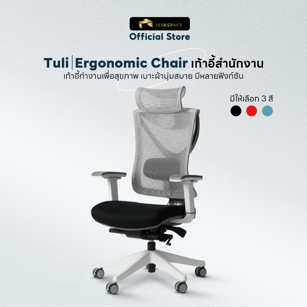 DESKSPACE เก้าอี้ทำงานเพื่อสุขภาพ รุ่น Tuli เบาะผ้า Ergonomic Chair ปรับระดับความสูงของพนักพิงได้