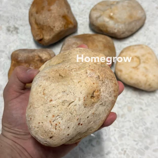 หินก้อนใหญ่ หินแม่น้ำขนาดใหญ่ แต่ตู้ปลา ลำธาร ศิลปะ พร้อมส่ง