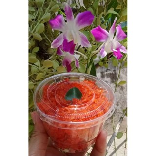 ไส้เค็ม มะพร้าวกุ้ง (ขนมเบื้อง) 500 กรัม - 1 กิโลกรัม