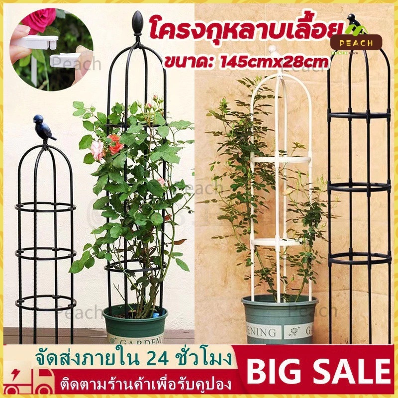 95/145cm*28cm ทนทาน โครงกุหลาบ กันสนิม ซุ้มกุหลาบ โครงกุหลาบเลื้อย ซุ้มไม้เลื้อย