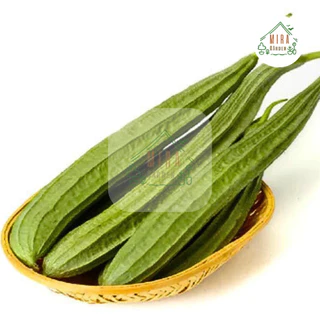 เมล็ดพันธุ์บวบเหลี่ยม 20 เมล็ด