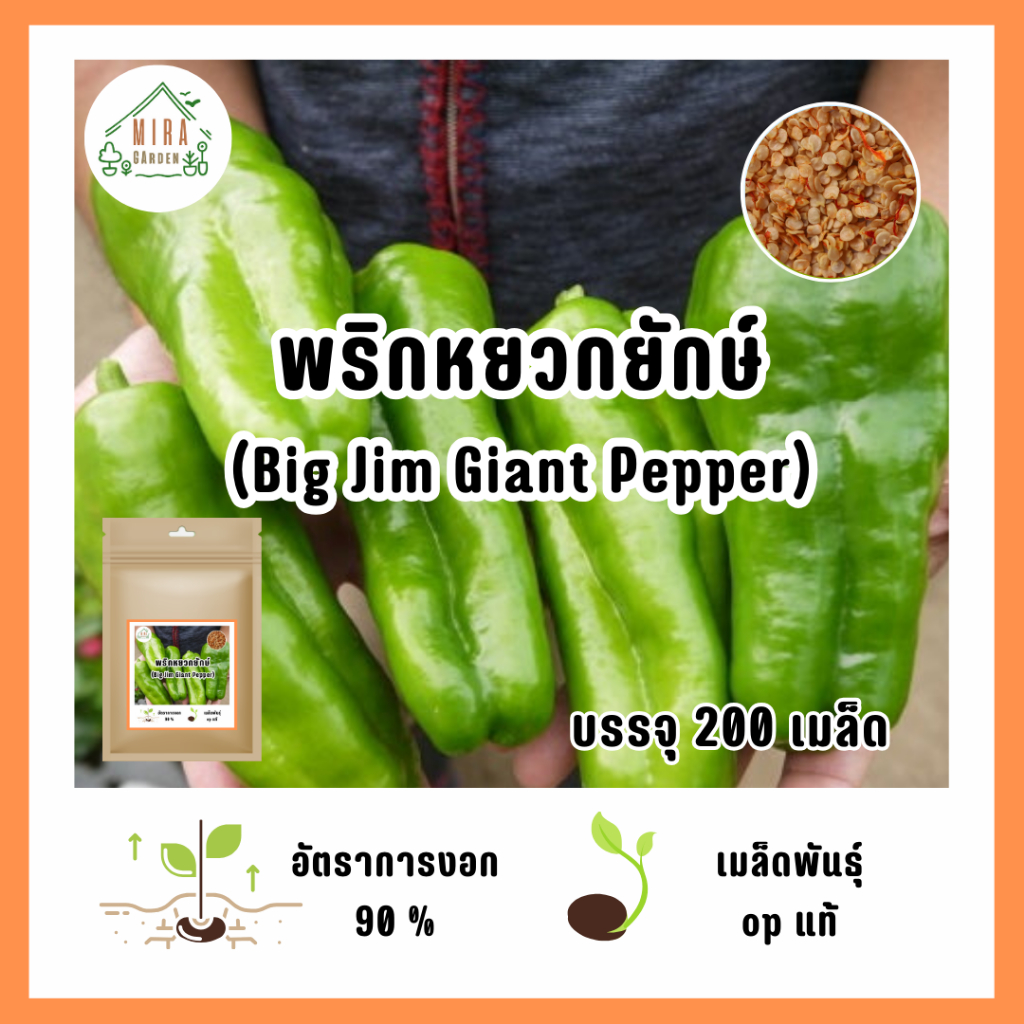 เมล็ดพันธุ์พริกหยวกยักษ์(Big Jim Giant Pepper) 200 เมล็ด