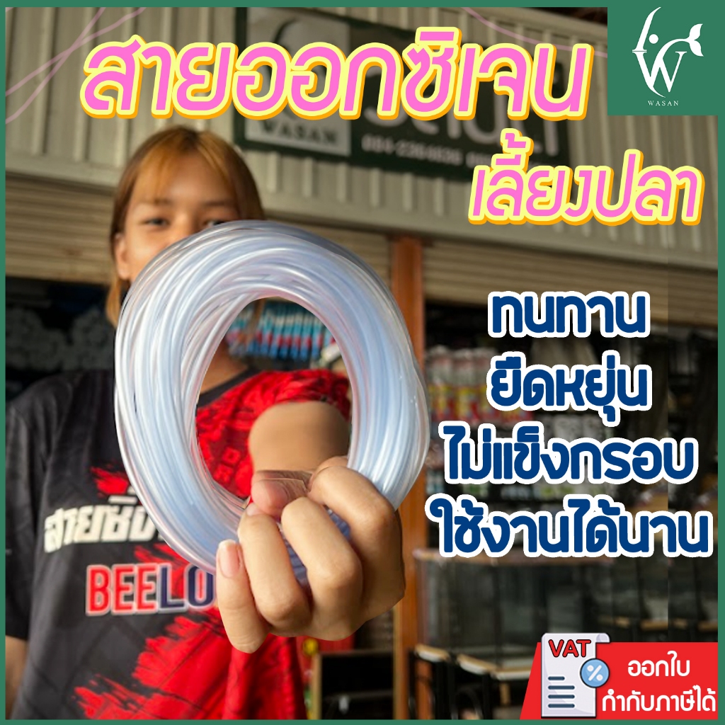 รูปภาพ 2