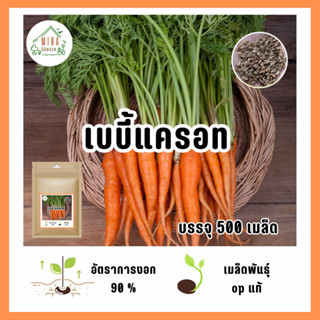 เมล็ดพันธุ์เบบี้แครอท 500 เมล็ด