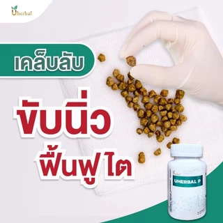 Uherbal P ยูเฮอร์เบิล พี ตอบโจทย์เรื่องนิ่วในไต