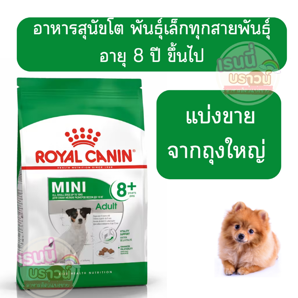 ส่งด่วนมาก+ผ่อนได้⚡️[[สุนัขเล็กสูงวัย]]Royal Canin Mini adult 8+ อาหารเม็ด สำหรับสุนัขสูงวัย พันธุ์เล็ก อายุ 8 ปีขึ้นไป