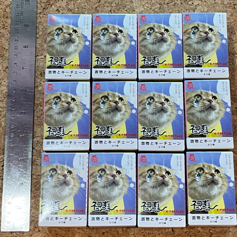 🇯🇵Sushi Cat 🐈ซูชิ แมว🍣