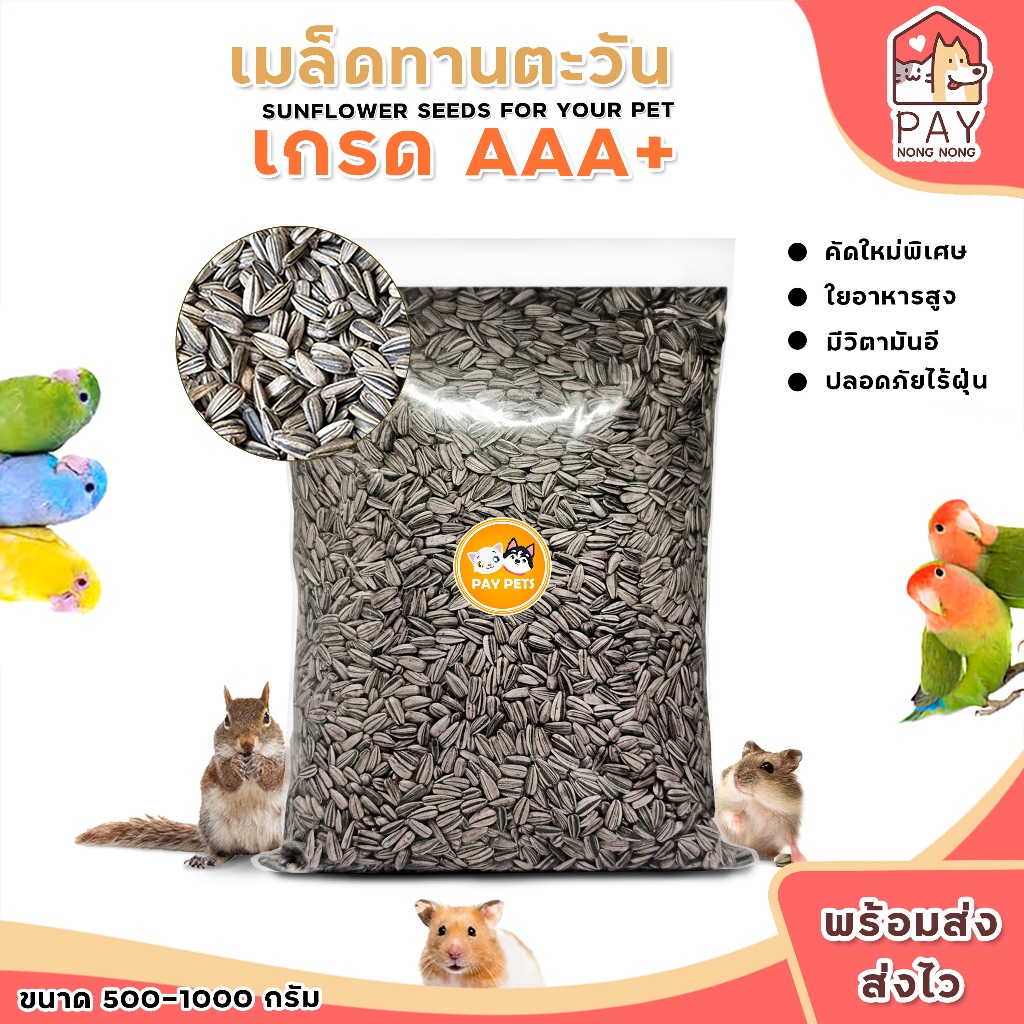 เมล็ดทานตะวันนกคัดพิเศษ เมล็ดทานตะวันนกทุกสายพันธุ์ ขนาดเล็ก-กลาง  กระรอก หนูแฮมสเตอร์ และสัตวแถะ