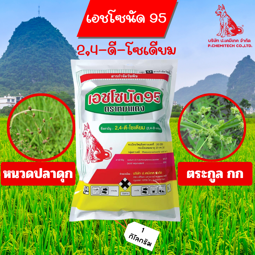 เอชโซนัด 95 ตราหมาแดง 1 กิโลกรัม