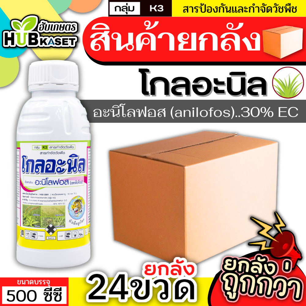 💥💥 สินค้ายกลัง 💥💥 โกลอะนิล 500ซีซี*24ขวด (อะนิโลฟอส) ใช้ได้ทั้งก่อนและหลังวัชพืชงอกในนาหว่านน้ำตม ทั้งใบแคบใบกว้าง