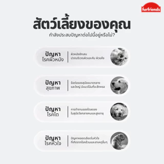 furfriends แซลมอนออยล์ บำรุงขน สุขภาพดี เสริมภูมิให้สัตว์เลี้ยง น้ำมันปลาแซลมอน แท้100% เกรดพรีเมียม น้ำมันปลา fish oil
