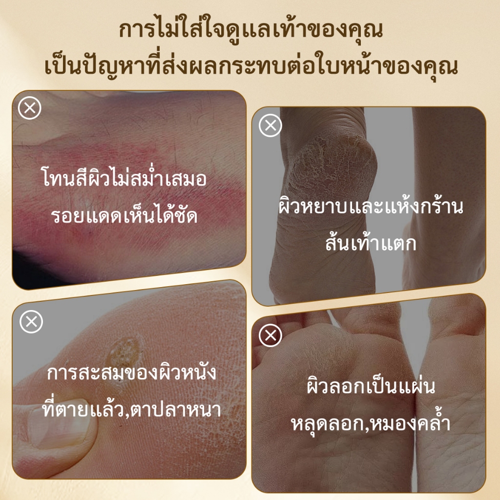 รูปภาพ 3