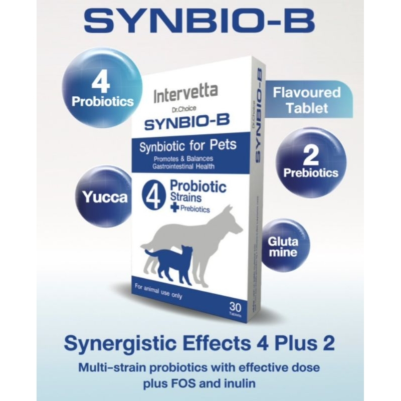 Synbio B แมว-สุนัข โพรไบโอติก+พรีไบโอติก ปรับสมดุลลำไส้ ลำไส้สุขภาพดี - รูปที่ 2