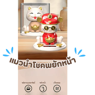 แมวนำโชคลาภ เสริมฮวงจุ้ยกิจการรถหรืออฟฟิต เสริมความมั่งคง ร่ำรวย แมวพยักหน้าด้วยพลังงานแสงอาทิตย์