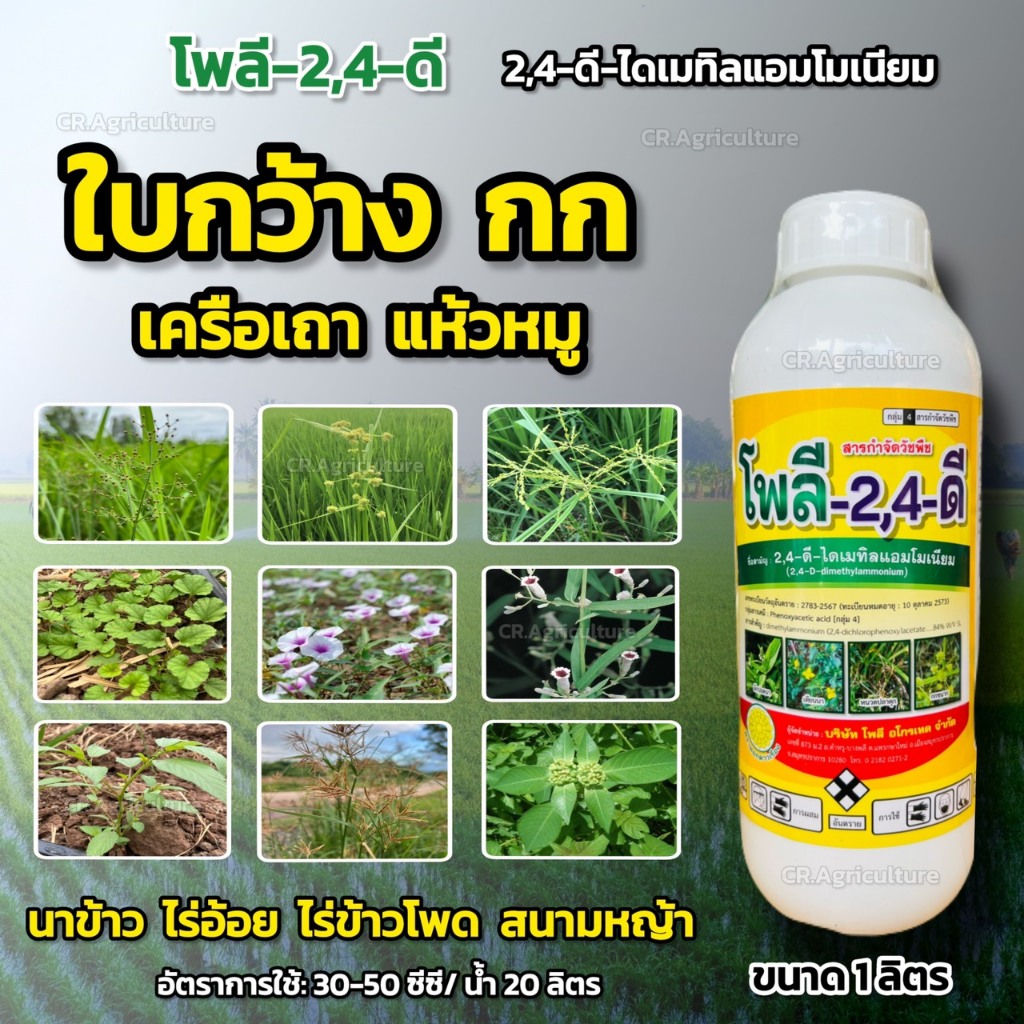 โพลี-2,4-ดี ทูโฟร์ดี 2,4ดี  2,4-ดี ไดเมทิลแอมโมเนียม สารกำจัดวัชพืชใบกว้าง กก แห้วหมู ใช้ในข้าว อ้อย ข้าวโพด สวน 1 ลิตร