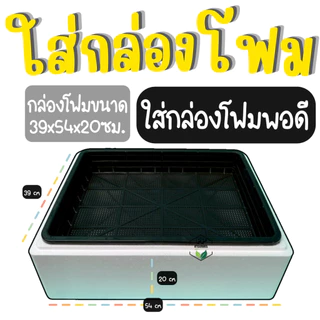 ตะแกรงปลูกผัก ถาดไดโซะ ถาดปลูกผักไฮโดรโปนิกส์ (**ใส่กล่องโฟมได้พอดี**)