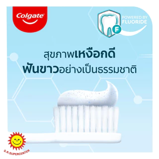 [ 1กล่อง ] Colgate คอลเกต ยาสีฟันรสยอดนิยม ขนาด 150 กรัม x2 หลอด (1กล่อง)3สูตร