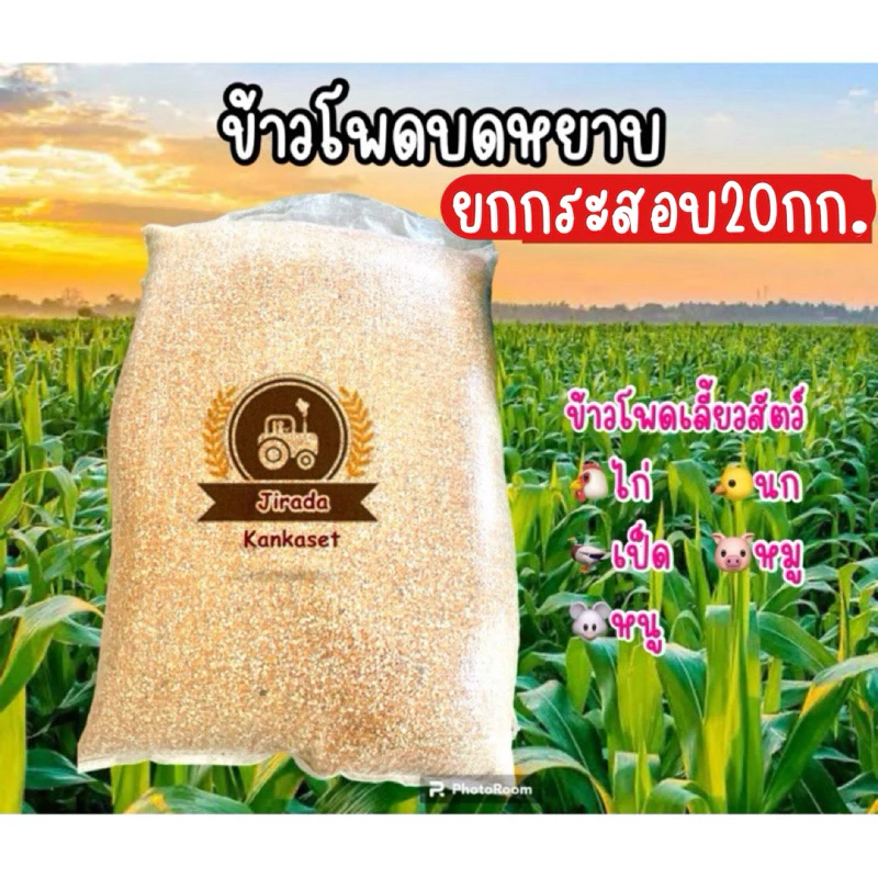 ข้าวโพดบดหยาบ ข้าวโพดเลี้ยงสัตว์