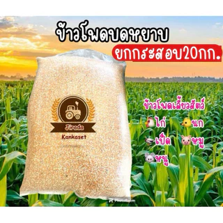 ข้าวโพดบดหยาบ ข้าวโพดเลี้ยงสัตว์