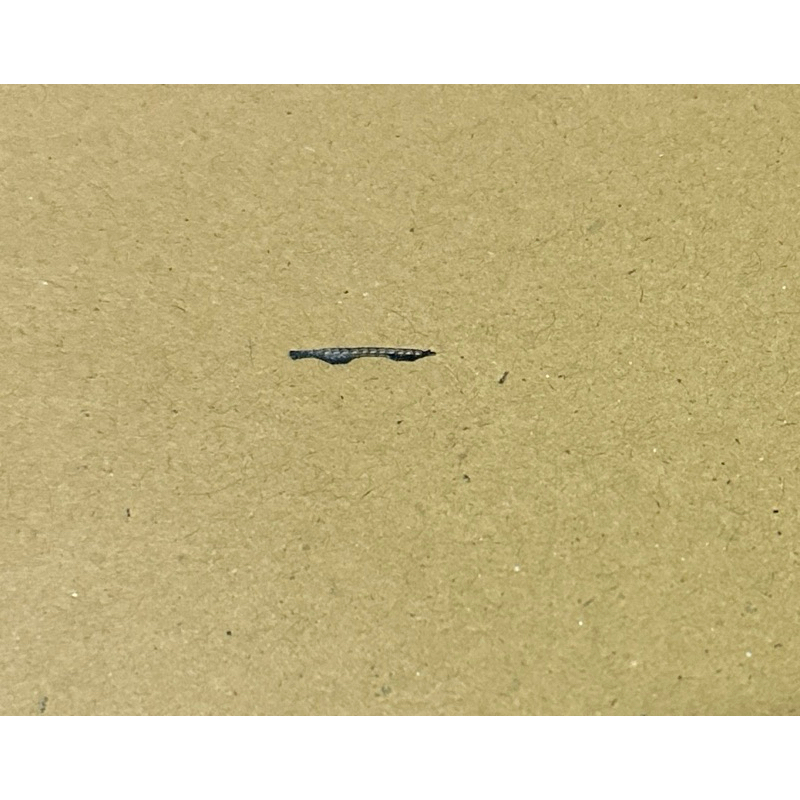 ตะแกรงหูฟังมือสอง Samsung Galaxy A50 และ Samsung Galaxy A71