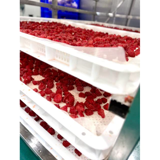 🎉🍓🍓NEW🎉🍓🍓สตรอเบอรี่อบแห้ง 🍓ขนาด 500g 齋·حلال แบบกระปุก สตรอเบอรี่จากเชียงใหม่เลยนะ🍓