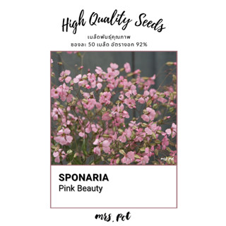เมล็ดนำเข้า Saponaria Pink Beauty รหัส132