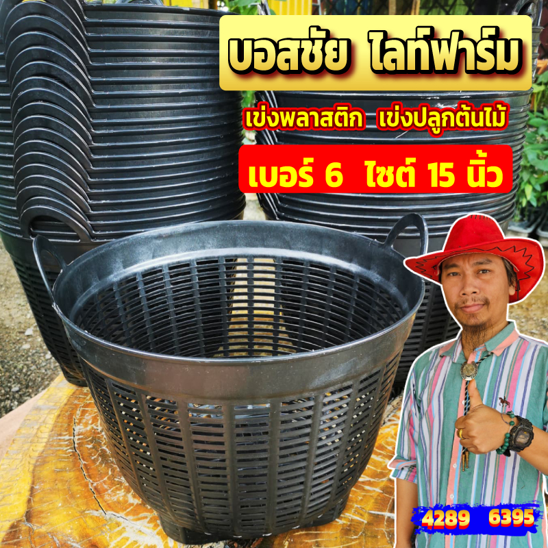 !!แพ็ค 10 ใบ!! เข่งพลาสติก เบอร์ 6 กว้าง 15 นิ้ว เข่งปลูกต้นไม้ เข่งผลไม้ ตะกร้าพลาสติก