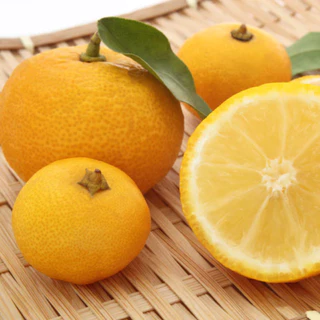 3-ZERo Apple Cider Vinegar With Yuzu ขนาด 250 ml. น้ำส้มสายชูหมัก จากแอปเปิ้ล และ ยูซุ แบบมีตะกอน ของใหม่ ของเเท้100%
