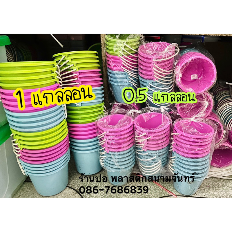 ถังสงกรานต์สีหวาน พลาสติก ขันน้ำ ถังหูหิ้ว | ขายยกโหล