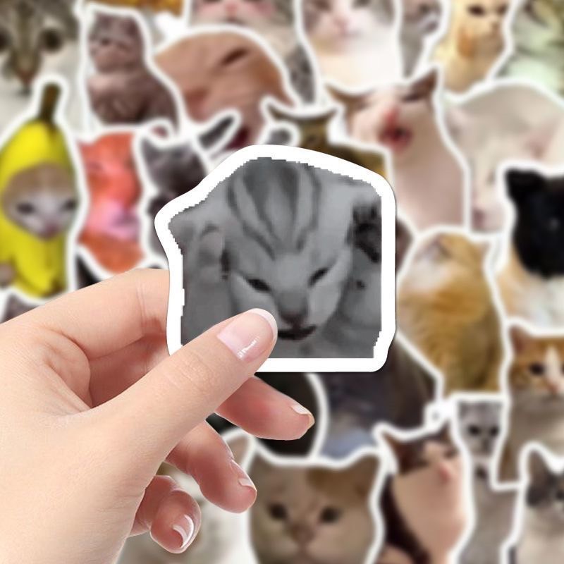 พร้อมส่ง สติกเกอร์มีมแมว มีมแมวตลก Funny cat meme sticker ไว้แปะเคส สมุด กระเป่า สติกเกอร์ตลก 52018 ราคา ถูกที่สุด ดีลบีเคเค แกลเลอรีภาพที่ 3