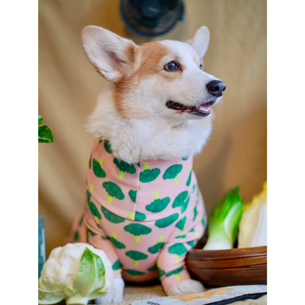 ชุดกันขนร่วง ลายบลอคโคลี่ 🥦