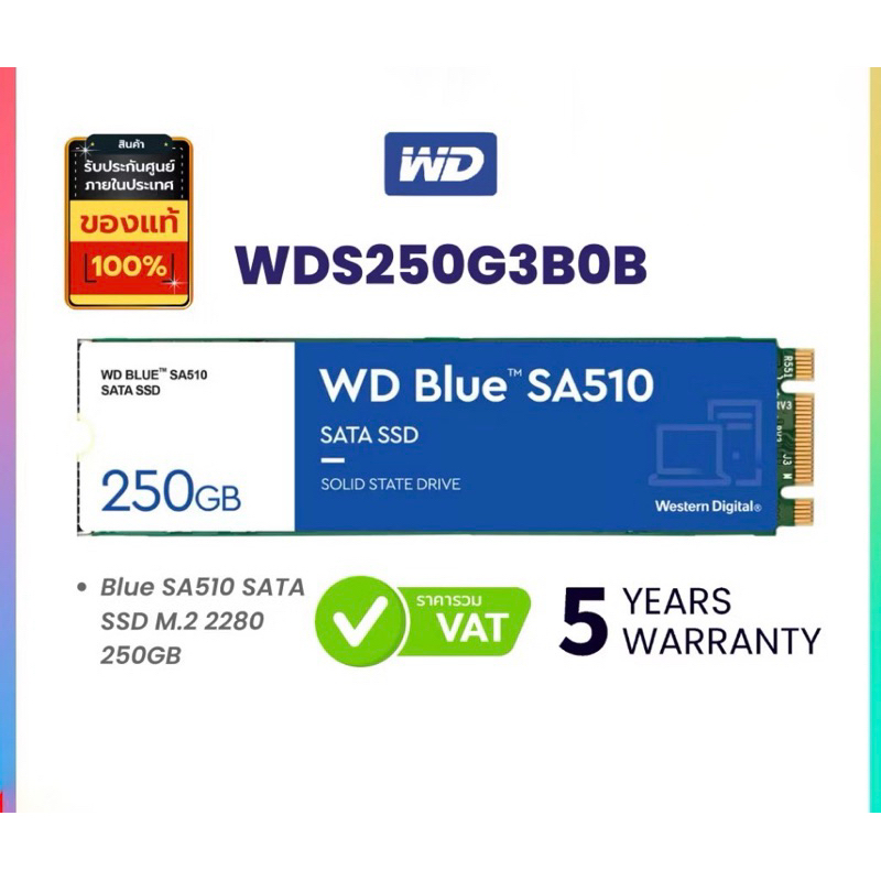 WD Blue SA 510 SATA 250 GB