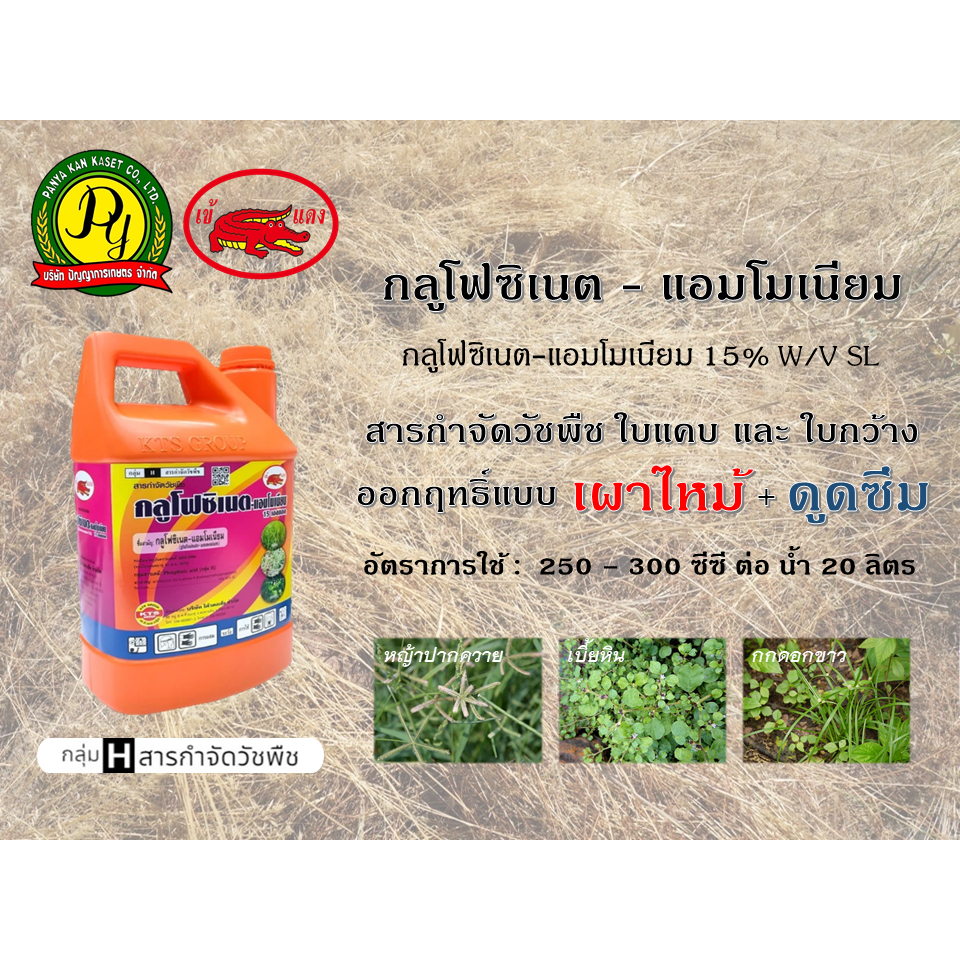 กลูโฟซิเนต-แอมโมเนียม สารกำจัดวัชพืชฤทธิ์กึ่งเผาไหม้ กึ่งดูดซึม ขนาดบรรจุ 1ลิตร และ 4 ลิตร