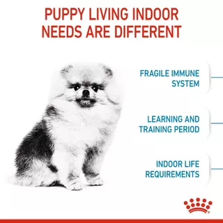 Royal Canin Mini indoor Puppy ขนาด 500 g.และ 1.5 kg. สำหรับลูกสุนัขพันธุ์เล็กอายุ 2-10 เดือน