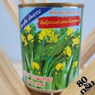 เมล็ดพันธุ์ผัก โหระพา คะน้าฮ่องกง กะเพรา เขียวน้อย คะน้าเห็ดหอม คะน้า แมงลัก ขึ้นฉ่าย ผักบุ้ง ผักกาดหอม กวางตุ้ง ผักชี