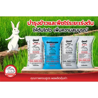 ปุ๋ยตรากระต่าย 15-15-15, แบ่งขาย 1 kg