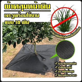 พลาสติกคลุมดิน ผ้าคลุมดิน พลาสติกคลุมหญ้า ฆ่าหญ้า 50 เมตร 100 เมตร คลุมวัชพืช ผ้าคลุมหญ้า กําจัดหญ้า【ผ้าป้องกันวัชพืช】