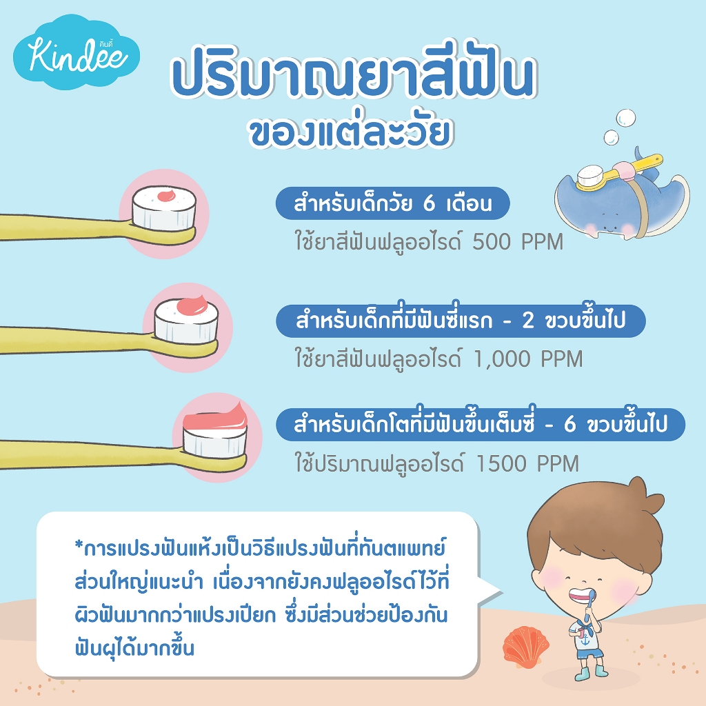 Kindee คินดี้ แปรงสีฟัน ยาสีฟันออร์แกนิค สูตรพรีแอนด์โพรไบโอติกส์ มีฟลูออไรด์ (60 กรัม) - 5
