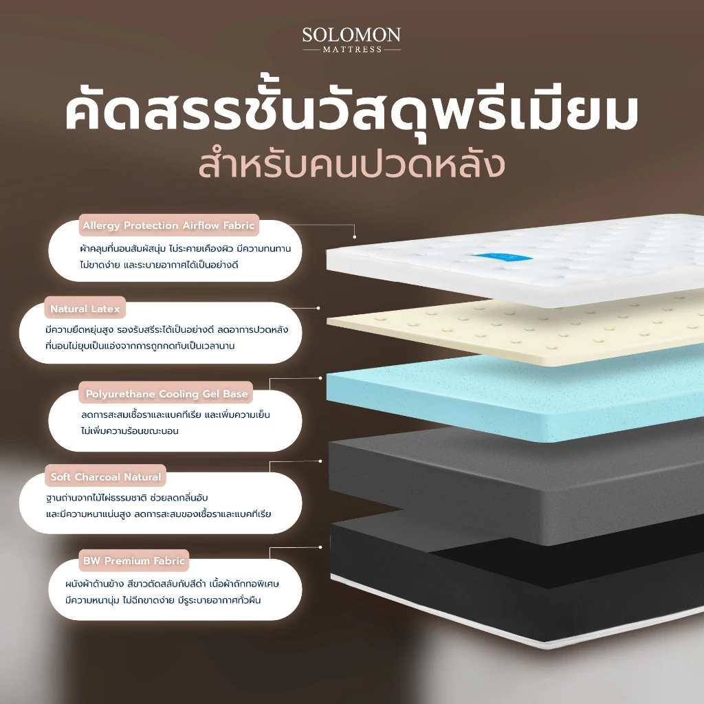 Solomon ที่นอนยางพาราแท้ 7 โซน รุ่น Luca หนา 8 นิ้ว thumbnail 4