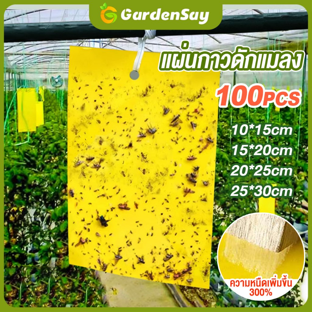 100 ใบ แผ่นกาวดักแมลง (สีเหลือง) กาวดักแมลงวัน มีกาวในตัว มีให้เลือกหลายขนาด  กับดักแมลงกินผัก แมลงทำลายผลผลิต ดักแมลงศั
