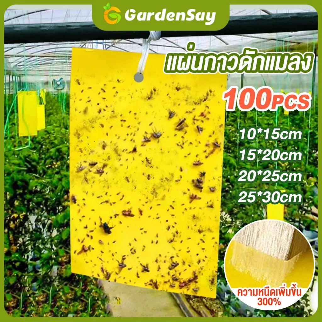 100 ใบ แผ่นกาวดักแมลง (สีเหลือง) กาวดักแมลงวัน มีกาวในตัว มีให้เลือกหลายขนาด กับดักแมลงกินผัก แมลงทำลายผลผลิต ดักแมลงศั