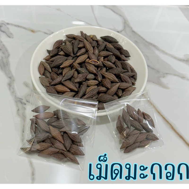 เม็ดมะกอก สำหรับสัตว์ฟันแทะ มีเนื้อด้านใน เปลือกหนาสามารถทุบให้ก่อนได้