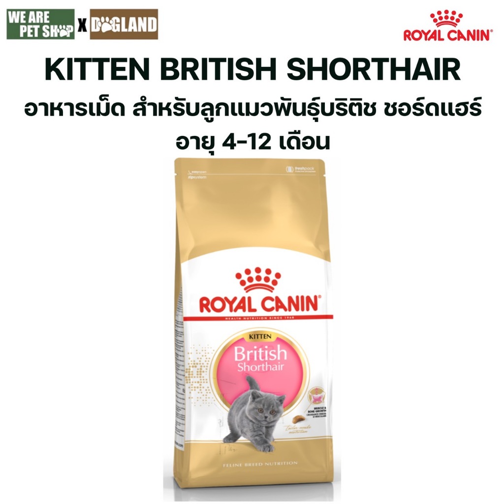 Royal Canin Cat 10Kg.Kitten British Shorthair