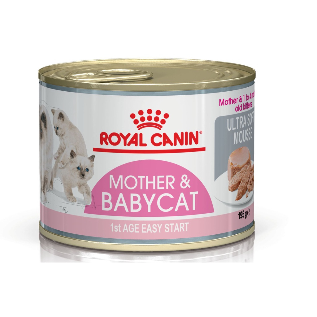 Royal Canin Mother & Baby Catแบบกระป๋อง195 กรัม ราคายกโหล12กระป๋อง Exp.09/2026