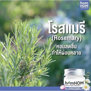 (ส่งด่วน/ส่งทันที🔥) บาล์มยูคาลิปตัส บาล์มหอมแดง 20 กรัม (ยูคาลิปตัส หอมแดง กลิ่นคาโมมายล์ โรสแมรี่)